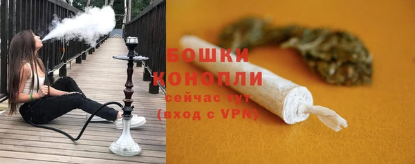ПСИЛОЦИБИНОВЫЕ ГРИБЫ Белоозёрский