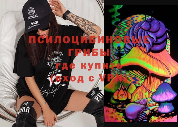 ПСИЛОЦИБИНОВЫЕ ГРИБЫ Белоозёрский