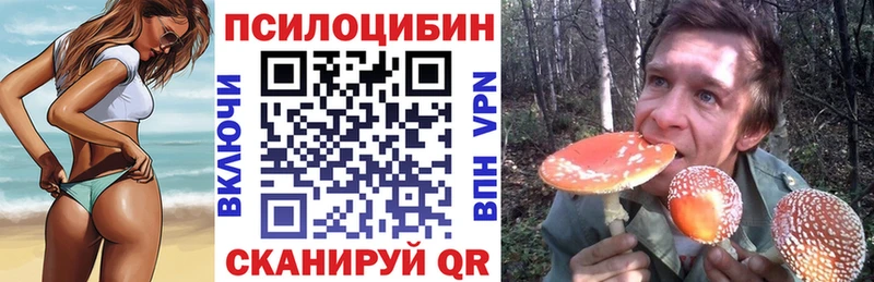 Псилоцибиновые грибы прущие грибы  Верещагино 